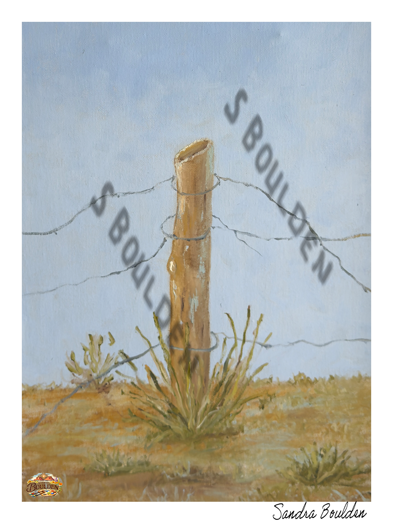 Barbed Fence Over the Plains